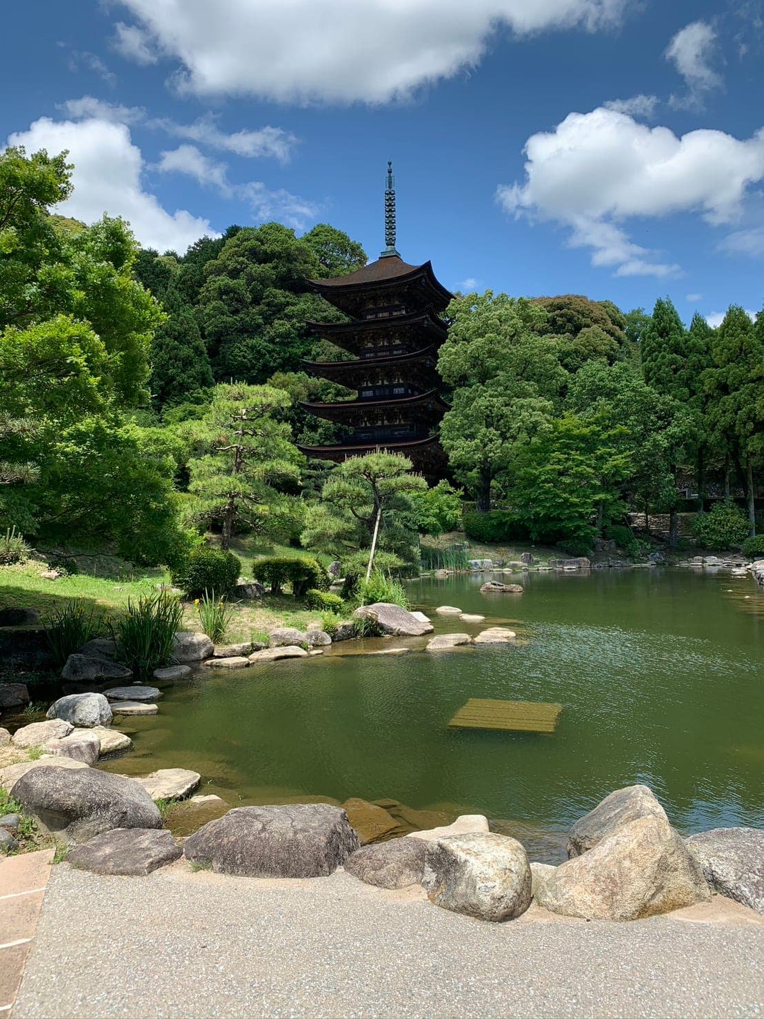 緑豊かな日本庭園の風景
